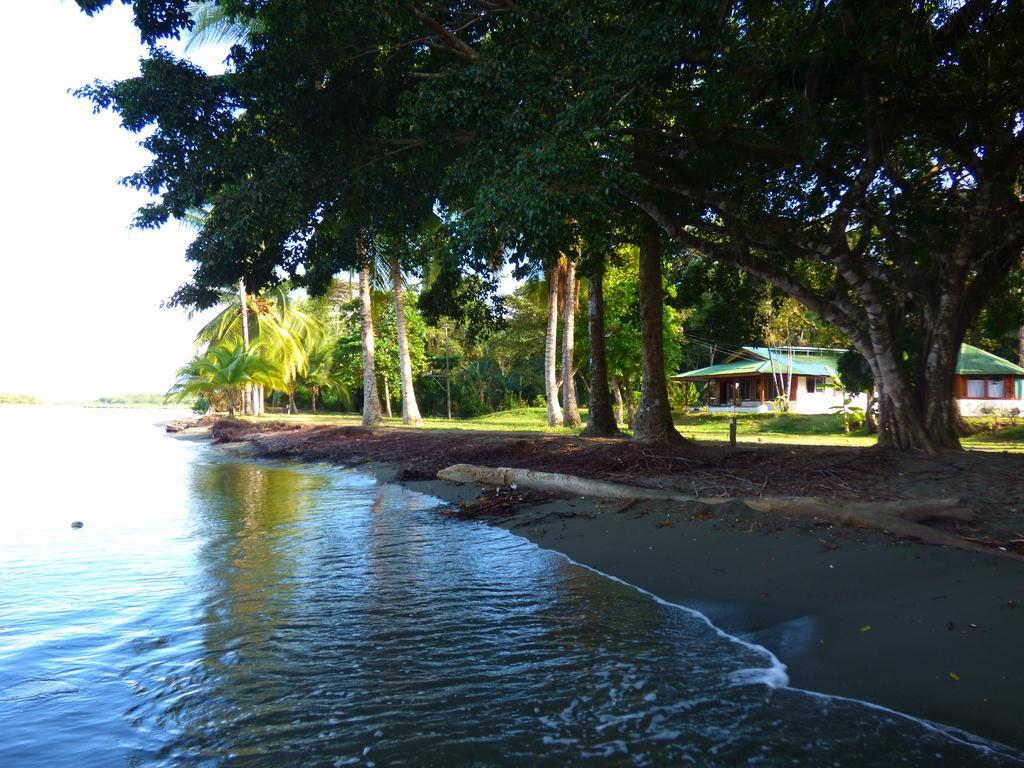 Corcovado Beach Lodge Puerto Jiménez Exterior photo