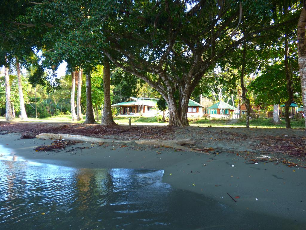Corcovado Beach Lodge Puerto Jiménez Exterior photo